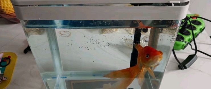 技研精工（JIYJNJINGGONG）魚(yú)缸，技研精工i魚(yú)v系列魚(yú)缸