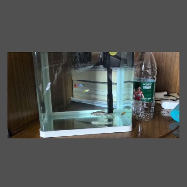 技研精工（JIYJNJINGGONG）魚(yú)缸，技研精工i魚(yú)v系列魚(yú)缸