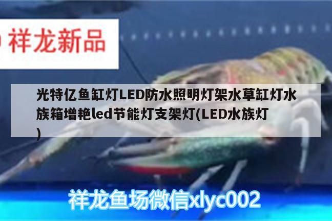 光特億魚缸燈LED防水照明燈架水草缸燈水族箱增艷led節能燈支架燈(LED水族燈)