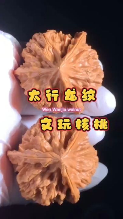 太行龍紋文玩核桃 龍魚(yú)論壇 太行龍紋文玩核桃 太行龍紋文玩核桃 龍魚(yú)論壇