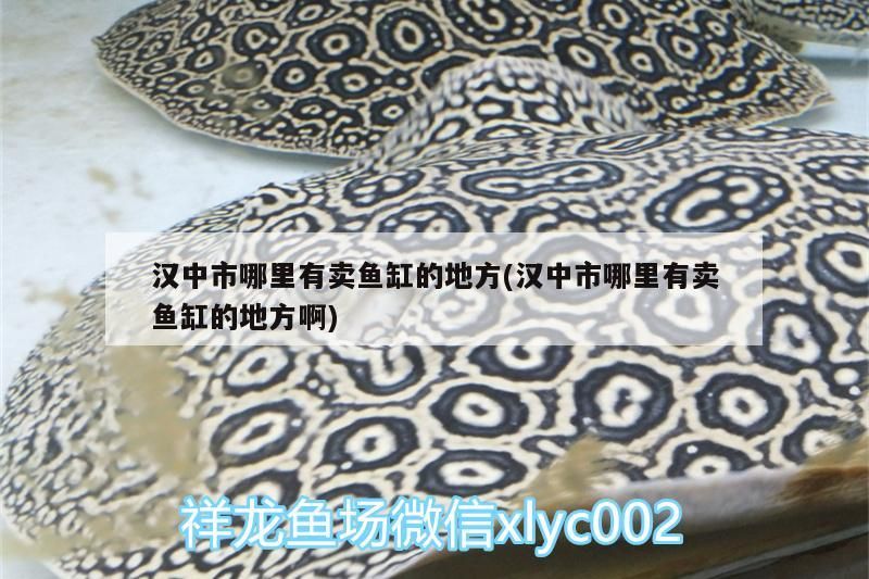 漢中市哪里有賣魚缸的地方(漢中市哪里有賣魚缸的地方啊)