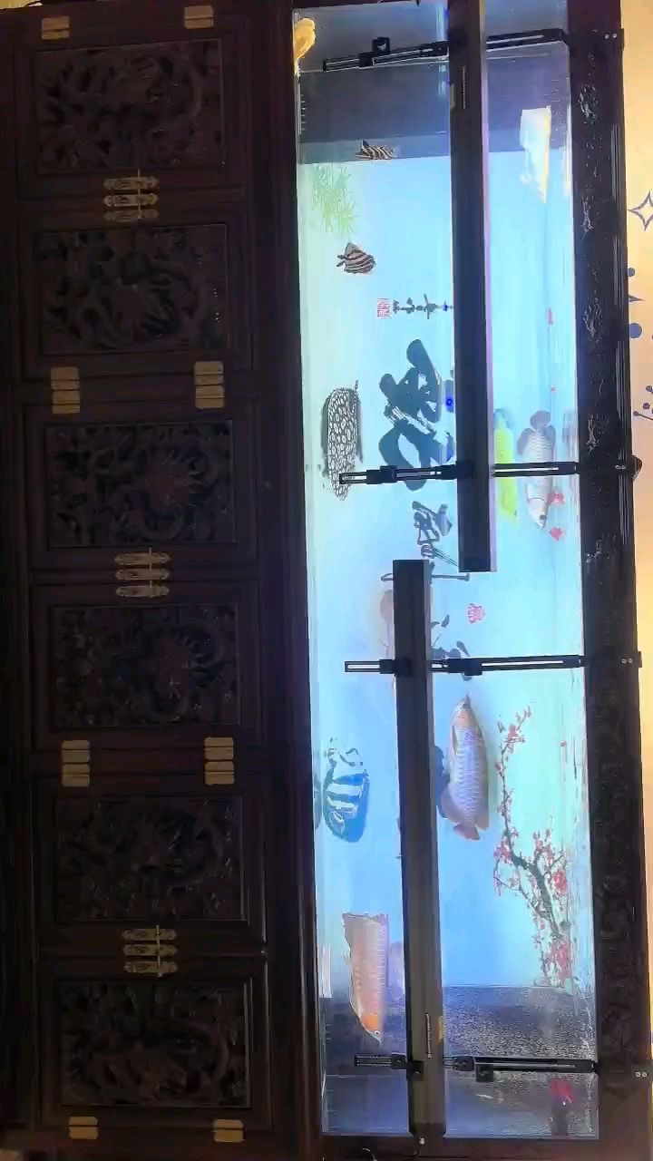 原子光盒以上