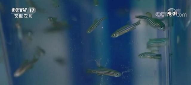 開個水族館的艱難之旅英語翻譯：如何選擇水族館位置