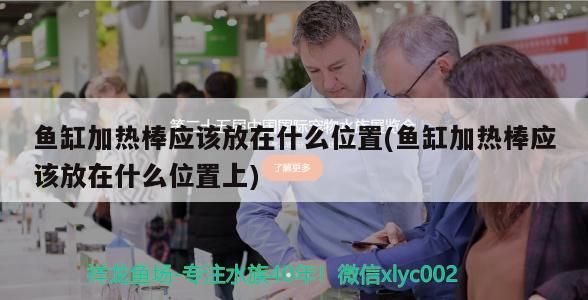 魚缸加熱棒應(yīng)該放在什么位置(魚缸加熱棒應(yīng)該放在什么位置上)