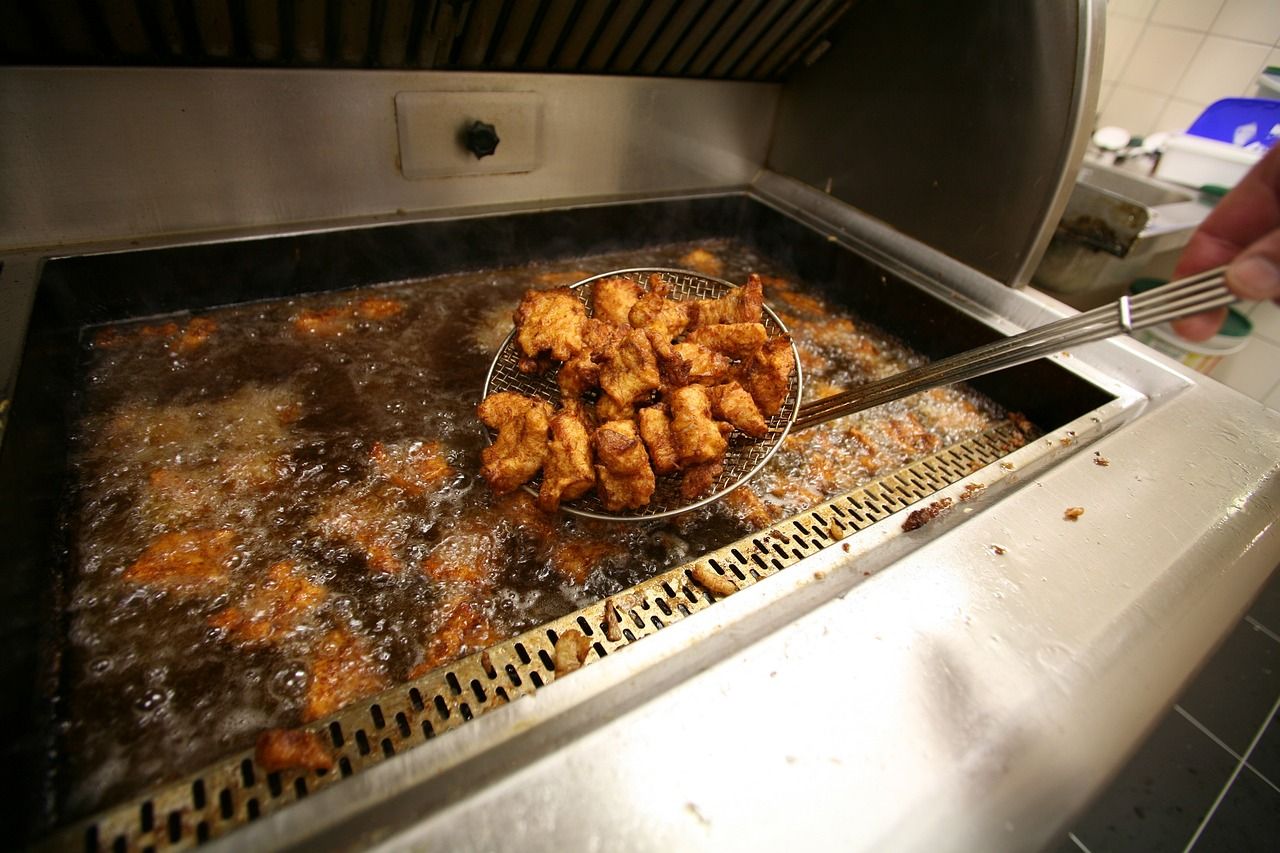 淄博張店藝景水族用品店