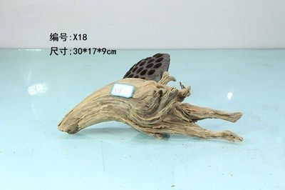 30x20x18魚缸：30x20x18魚缸尺寸30x20x18魚缸尺寸360問答