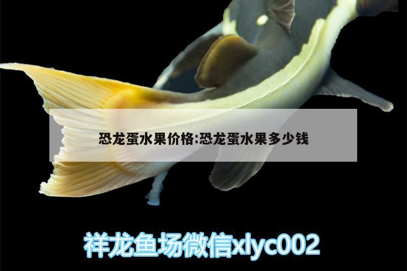 恐龍蛋水果價格:恐龍蛋水果多少錢 恐龍蛋水果價格:恐龍蛋水果多少錢 錦鯉魚百科