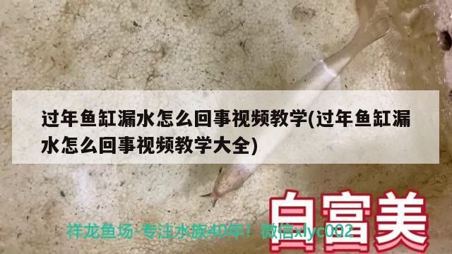 過年魚缸漏水怎么回事視頻教學(過年魚缸漏水怎么回事視頻教學大全)