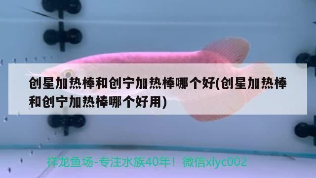 創星加熱棒和創寧加熱棒哪個好(創星加熱棒和創寧加熱棒哪個好用)