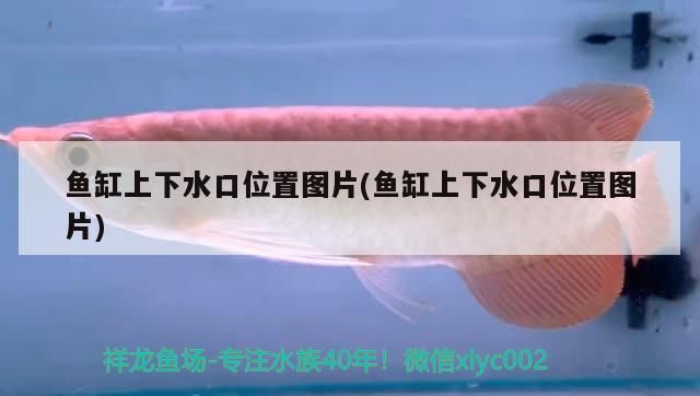 濟南森森魚缸專賣店在哪里 濟南森森魚缸電話號碼 濟南森森魚缸專賣店在哪里 濟南森森魚缸電話號碼 速倍妥