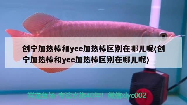 創寧加熱棒和yee加熱棒區別在哪兒呢(創寧加熱棒和yee加熱棒區別在哪兒呢)