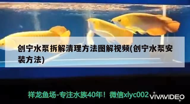 創(chuàng)寧水泵拆解清理方法圖解視頻(創(chuàng)寧水泵安裝方法)