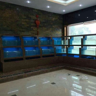 水族館魚缸多層制作視頻（如何制作一個多層水族館魚缸）