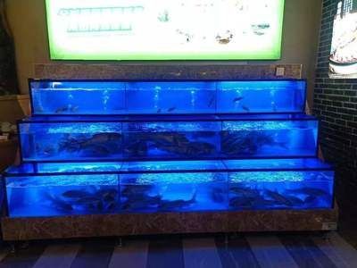 水族館魚缸多層制作視頻（如何制作一個多層水族館魚缸）
