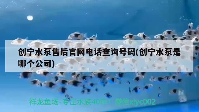 創(chuàng)寧水泵售后官網(wǎng)電話查詢號碼(創(chuàng)寧水泵是哪個公司)