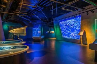 水族館是什么行業(yè)類目：水族館行業(yè)前景如何 水族館是什么行業(yè)類目：水族館行業(yè)前景如何 水族館百科（水族館加盟） 第4張