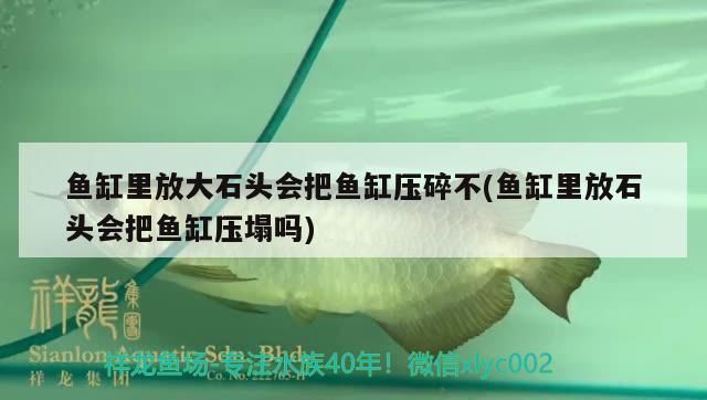 魚(yú)缸里放大石頭會(huì)把魚(yú)缸壓碎不(魚(yú)缸里放石頭會(huì)把魚(yú)缸壓塌嗎)
