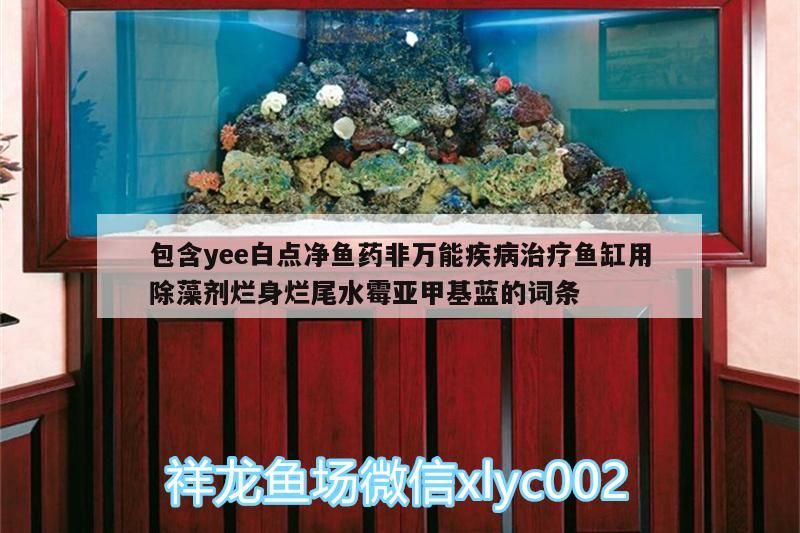 包含yee白點凈魚藥非萬能疾病治療魚缸用除藻劑爛身爛尾水霉亞甲基藍的詞條