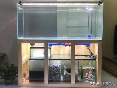 成都魚(yú)缸定制廠(chǎng)家地址電話(huà)查詢(xún)（成都魚(yú)缸定制廠(chǎng)家地址電話(huà)查詢(xún)號(hào)碼）