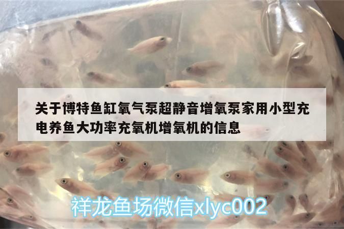 關(guān)于博特魚缸氧氣泵超靜音增氧泵家用小型充電養(yǎng)魚大功率充氧機(jī)增氧機(jī)的信息 關(guān)于博特魚缸氧氣泵超靜音增氧泵家用小型充電養(yǎng)魚大功率充氧機(jī)增氧機(jī)的信息 博特水族