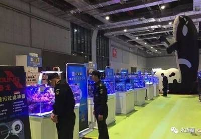 2024年水族展覽會：15.2024山東寵物水族展