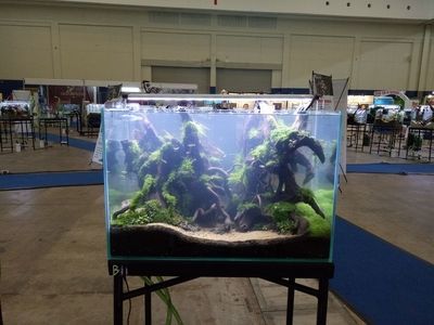 2024年水族展覽會：15.2024山東寵物水族展