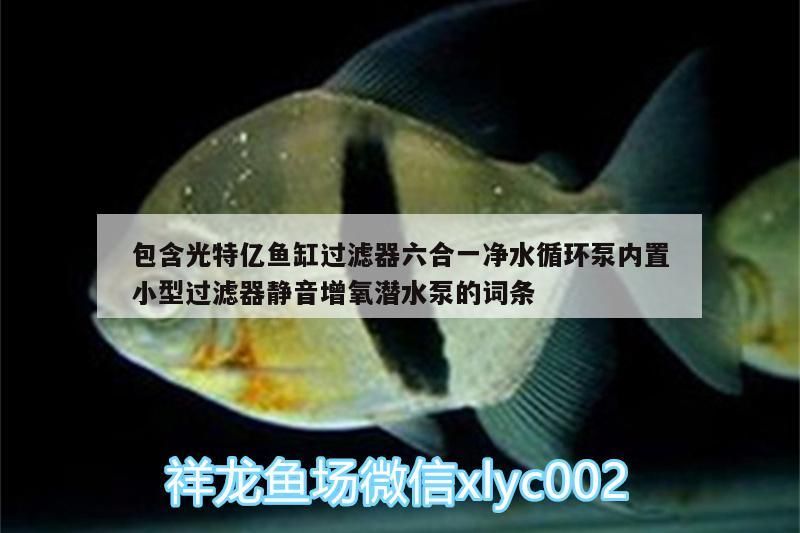 包含光特億魚缸過濾器六合一凈水循環泵內置小型過濾器靜音增氧潛水泵的詞條 包含光特億魚缸過濾器六合一凈水循環泵內置小型過濾器靜音增氧潛水泵的詞條 光特億
