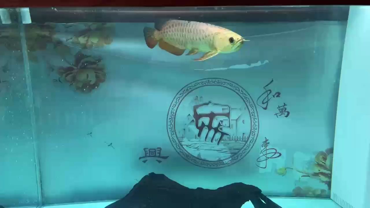 客戶收到非常滿意