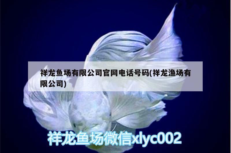 祥龍魚場有限公司官網電話號碼(祥龍漁場有限公司) 祥龍魚場有限公司官網電話號碼(祥龍漁場有限公司) vs祥龍魚場