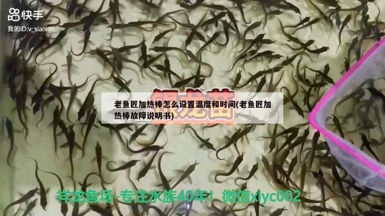 老魚匠加熱棒怎么設置溫度和時間(老魚匠加熱棒故障說明書)