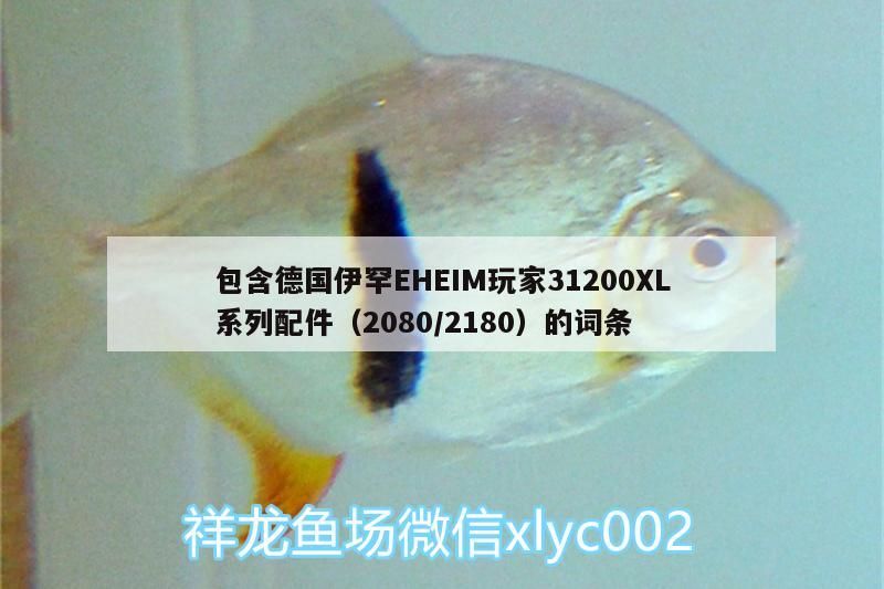 包含德國伊罕EHEIM玩家31200XL系列配件（2080/2180）的詞條