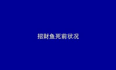 虎魚白點病怎么治最有效：虎魚白點病怎么治