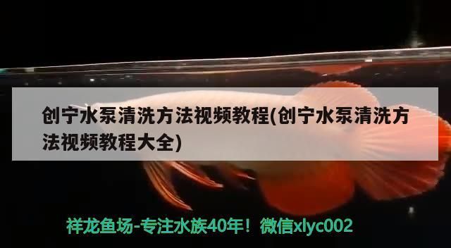 創(chuàng)寧水泵清洗方法視頻教程(創(chuàng)寧水泵清洗方法視頻教程大全)