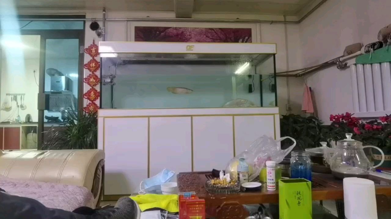 廣州市荔灣區偉亮水族店