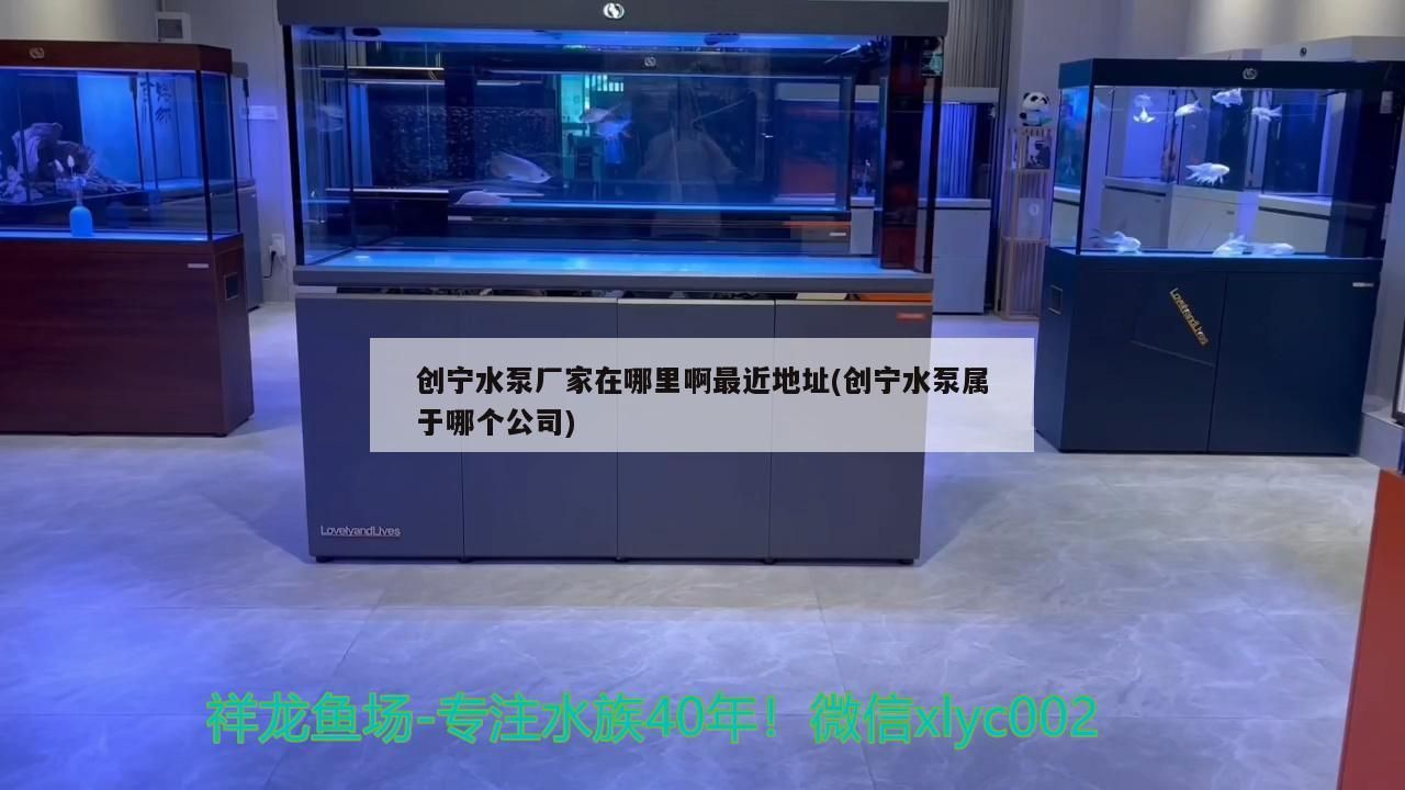 創(chuàng)寧水泵廠家在哪里啊最近地址(創(chuàng)寧水泵屬于哪個公司)