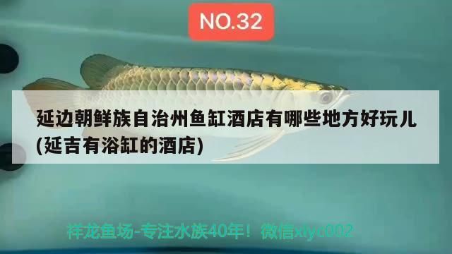 延邊朝鮮族自治州魚缸酒店有哪些地方好玩兒(延吉有浴缸的酒店)