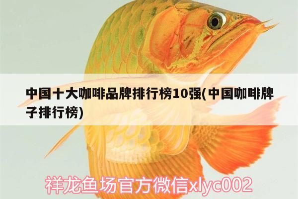 中國十大咖啡品牌排行榜10強(中國咖啡牌子排行榜)
