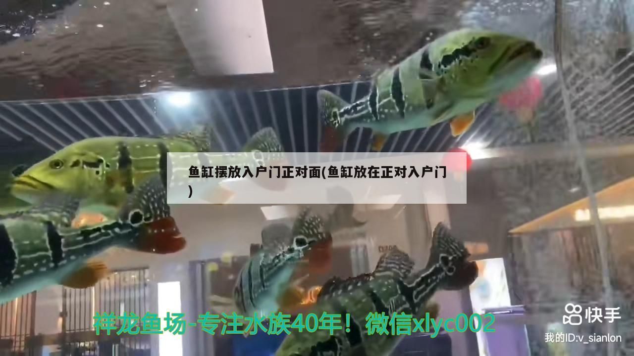 魚缸擺放入戶門正對面(魚缸放在正對入戶門)