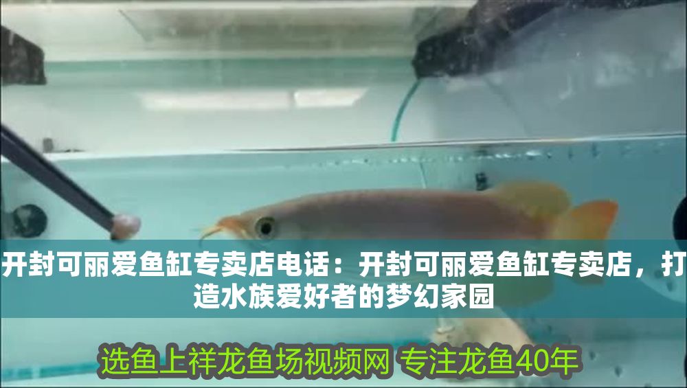 開封可麗愛魚缸專賣店電話：開封可麗愛魚缸專賣店，打造水族愛好者的夢幻家園