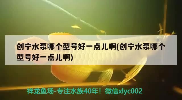 創(chuàng)寧水泵哪個(gè)型號(hào)好一點(diǎn)兒啊(創(chuàng)寧水泵哪個(gè)型號(hào)好一點(diǎn)兒啊) 創(chuàng)寧水泵哪個(gè)型號(hào)好一點(diǎn)兒啊(創(chuàng)寧水泵哪個(gè)型號(hào)好一點(diǎn)兒啊) 創(chuàng)寧水族 第2張
