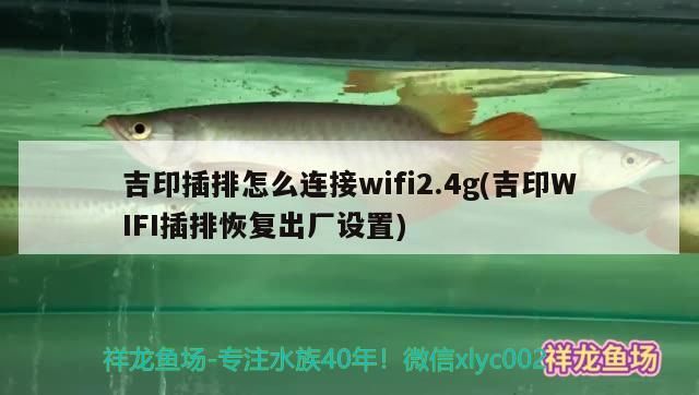 吉印插排怎么連接wifi2.4g(吉印WIFI插排恢復出廠設置)