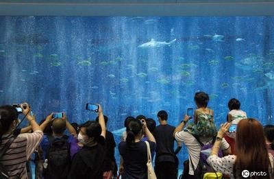 水族館開館時間是幾點:上海水族館開放時間 水族館百科(水族館加盟) 第5張 水族館開館時間是幾點:上海水族館開放時間 水族館開館時間是幾點:上海水族館開放時間 水族館百科(水族館加盟) 第5張