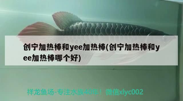 魚(yú)缸過(guò)濾器選購(gòu)指南:自制魚(yú)缸過(guò)濾器魚(yú)缸上置過(guò)濾器對(duì)于養(yǎng)魚(yú)愛(ài)好者的必備知識(shí) 創(chuàng)寧加熱棒和yee加熱棒(創(chuàng)寧加熱棒和yee加熱棒哪個(gè)好) yee 創(chuàng)寧加熱棒和yee加熱棒(創(chuàng)寧加熱棒和yee加熱棒哪個(gè)好) 創(chuàng)寧加熱棒和yee加熱棒(創(chuàng)寧加熱棒和yee加熱棒哪個(gè)好) yee