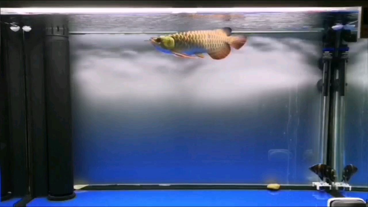 無錫水族館馬印2700K對比NEC6700