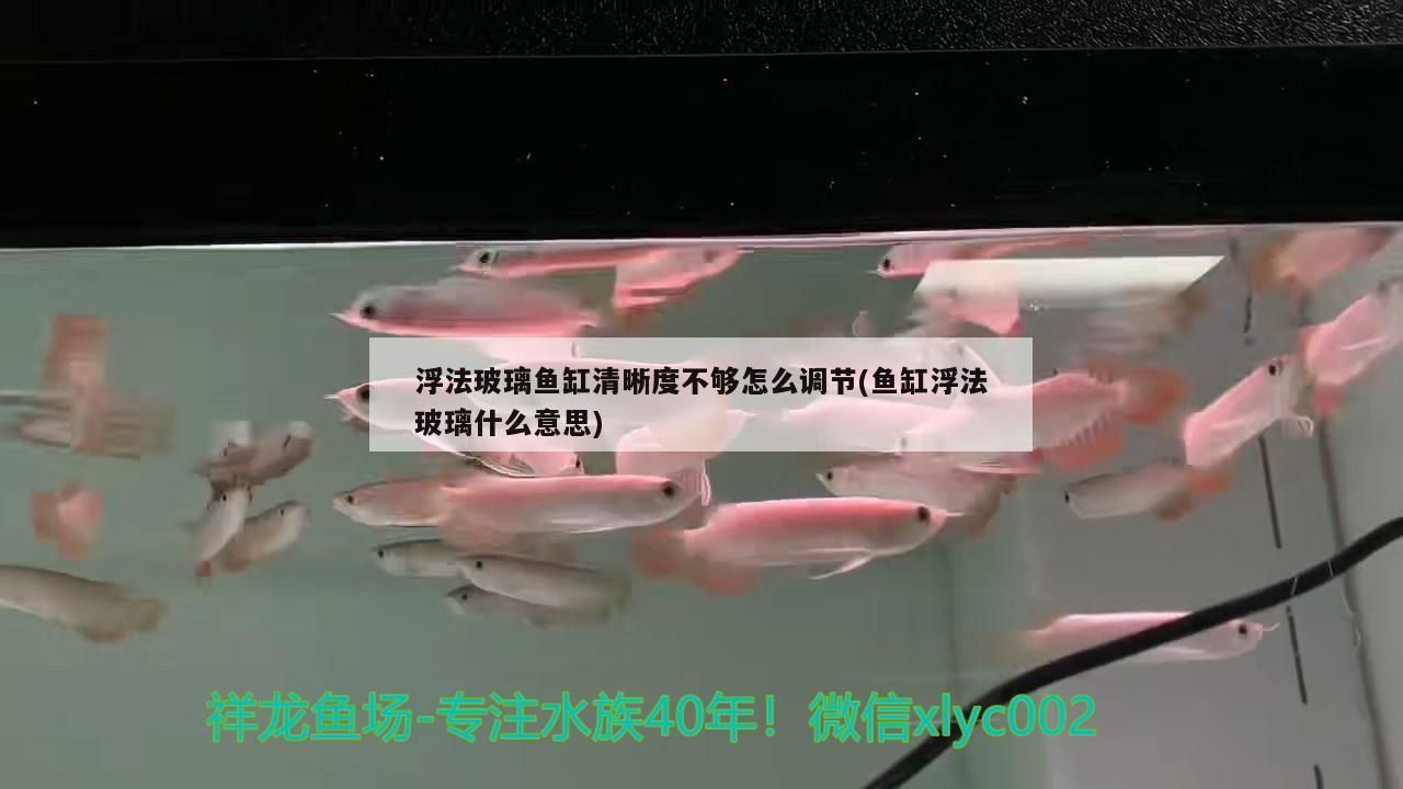 浮法玻璃魚缸清晰度不夠怎么調節(魚缸浮法玻璃什么意思)