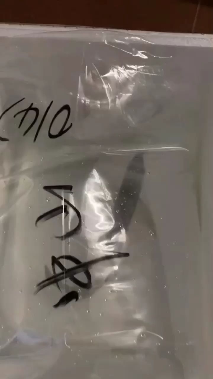 昌吉市軍飛觀賞魚店