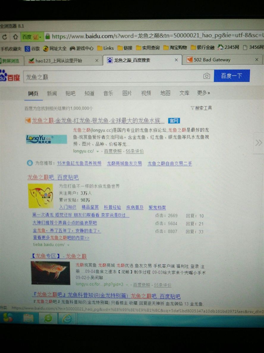 龍魚之巔網(wǎng)絡有問題了 龍魚之巔網(wǎng)絡有問題了 黃金貓魚百科 第1張