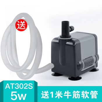 老鼠魚一個(gè)魚缸放幾個(gè)好(老鼠魚一般養(yǎng)幾條)