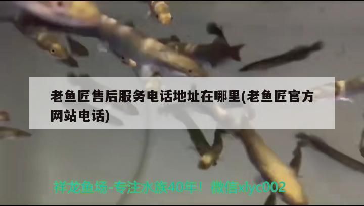 老魚匠售后服務電話地址在哪里(老魚匠官方網站電話) 老魚匠售后服務電話地址在哪里(老魚匠官方網站電話) 老魚匠