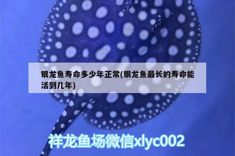 銀龍魚壽命多少年正常(銀龍魚最長(zhǎng)的壽命能活到幾年)